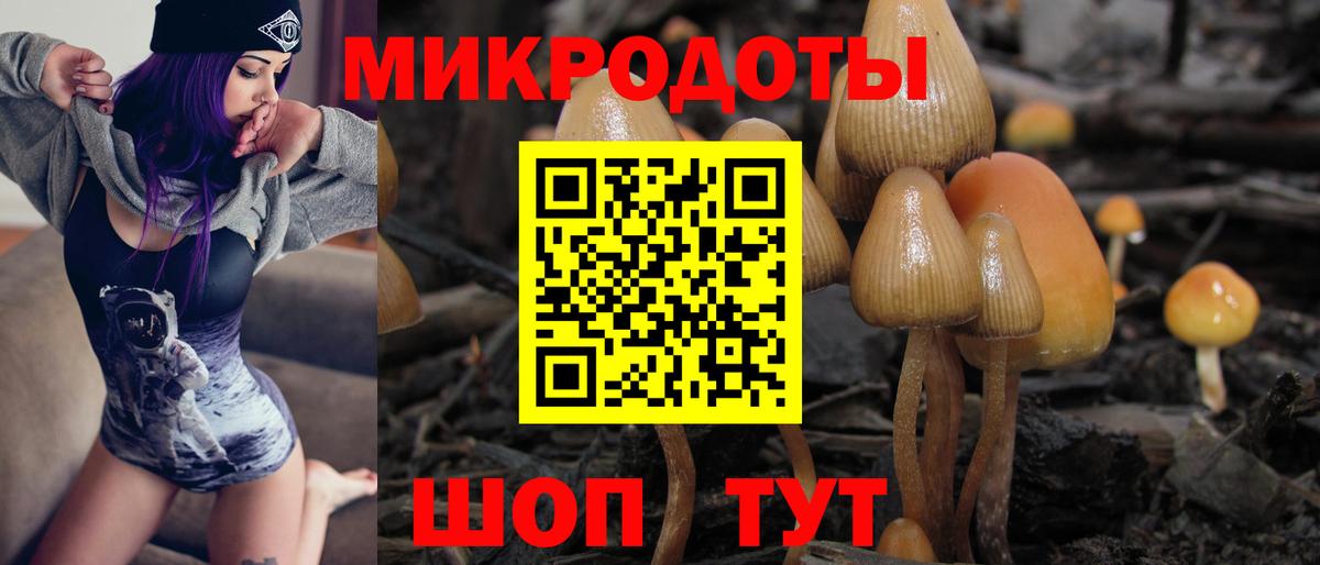 Галлюциногенные грибы прущие грибы  Вход с VPN  Мичуринск 